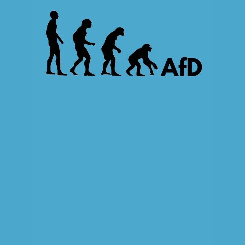 AfD Evolution