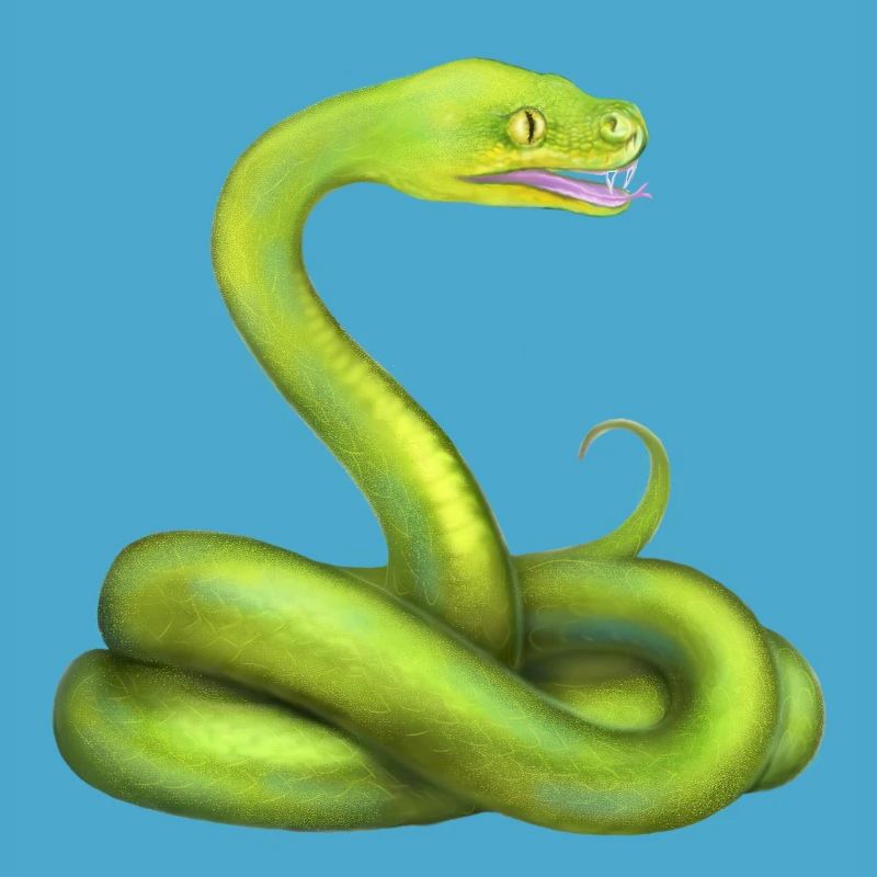 L’animal de la jungle du serpent python vert