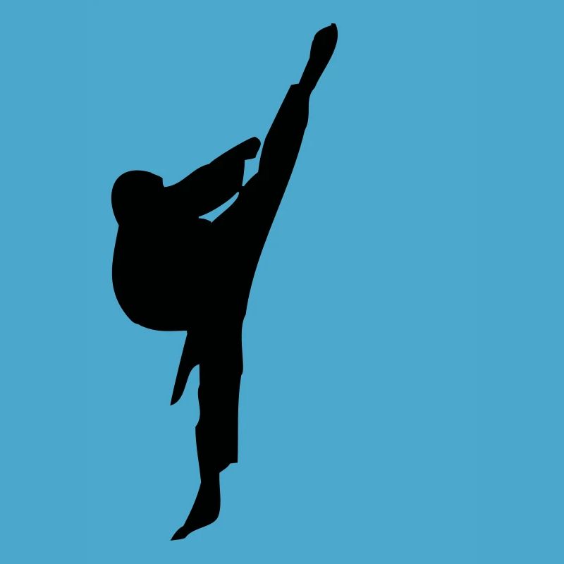 Hapkido Kick