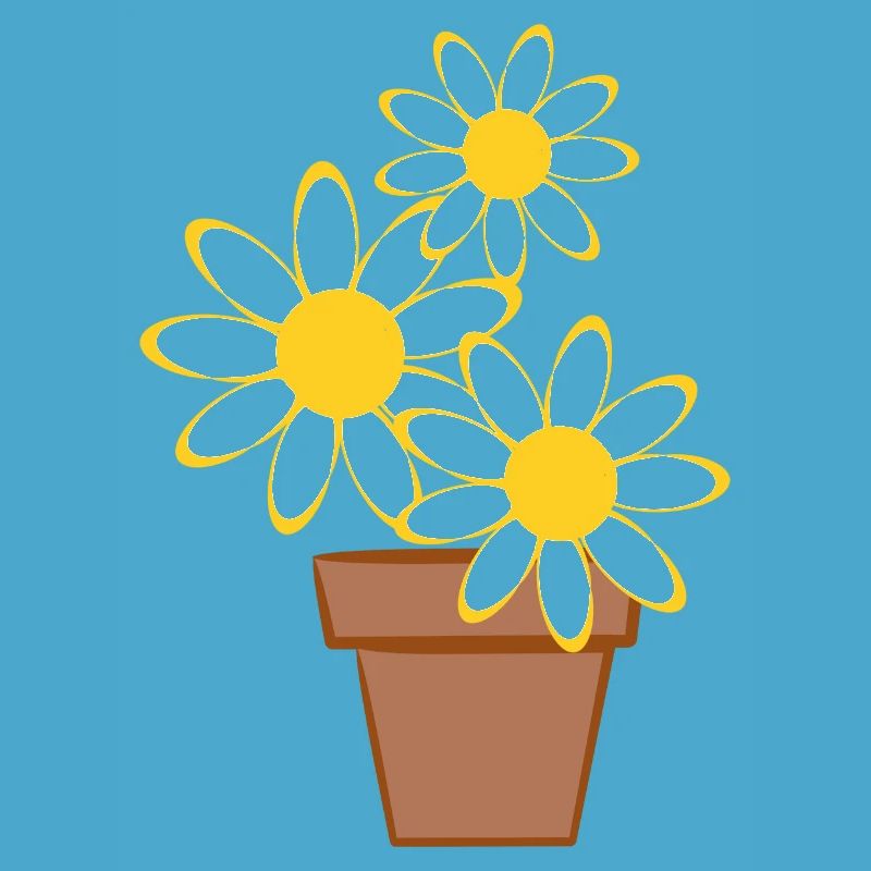 Gänseblümchen