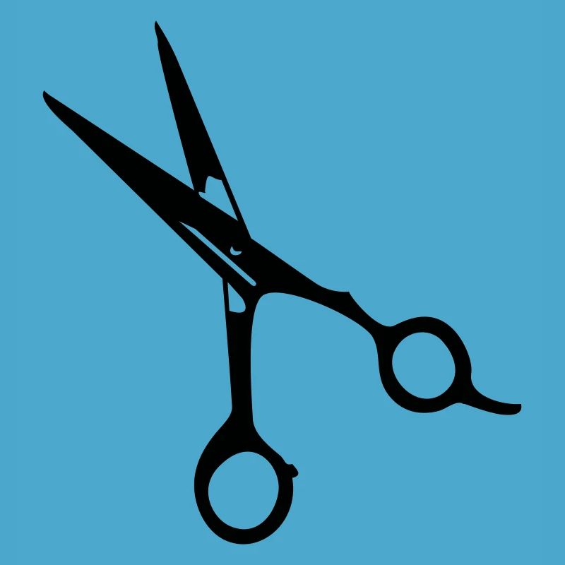 ciseaux de coiffeur / scissors (1c)