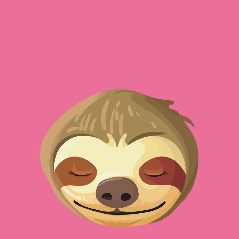 Sleeping Sloth Face
