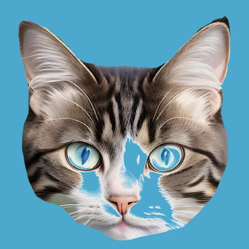 Chat mignon
