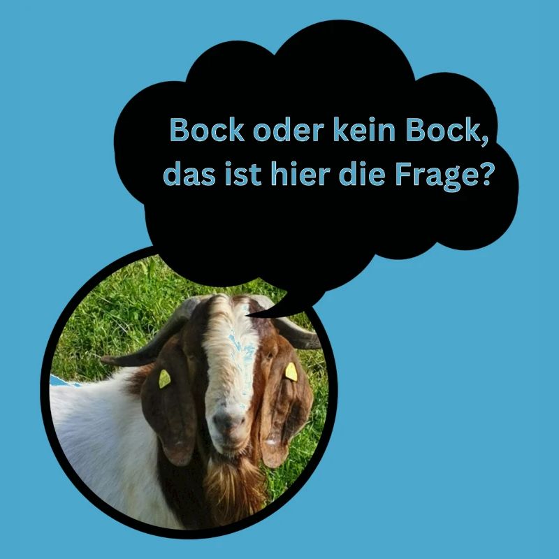 Fun Shirt "Bock oder kein Bock..."