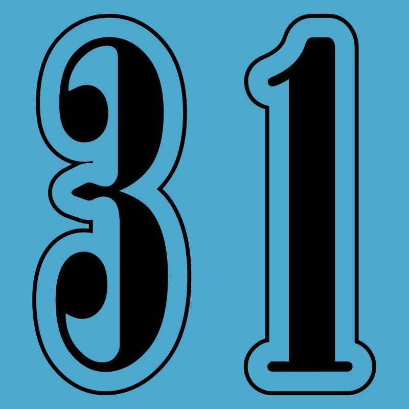 31 Symbole numérique