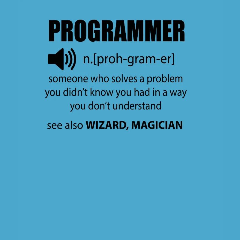 Code Programmer Dictionary Developer Gift