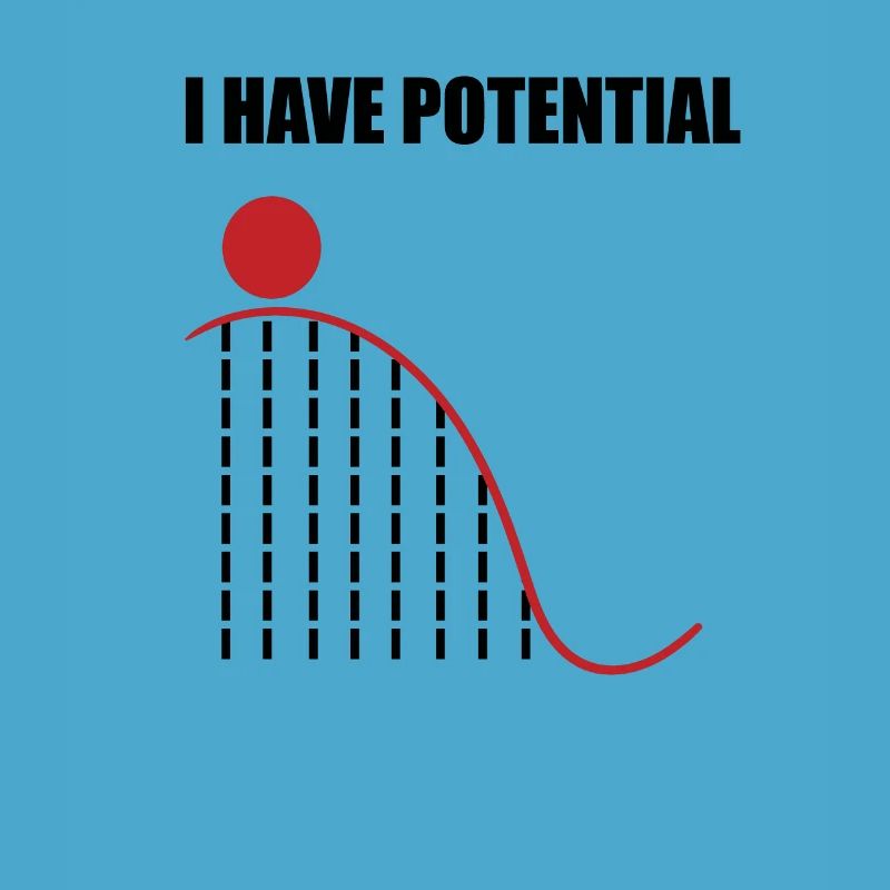 Physics nerd pun math potential gifts