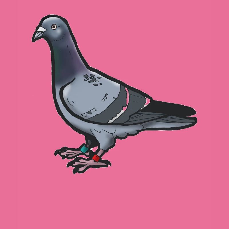 Comic Lustige Taube Vogel Geschenkidee Brieftaube