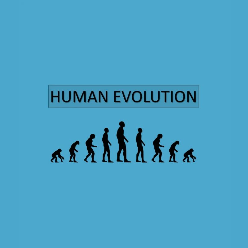 Human Evolution Funny Design