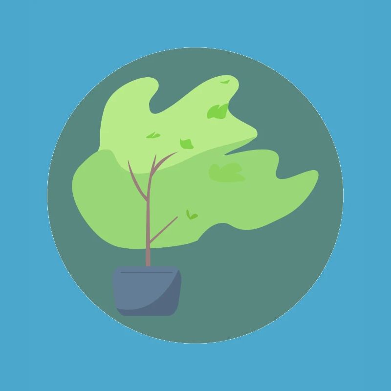 Baum