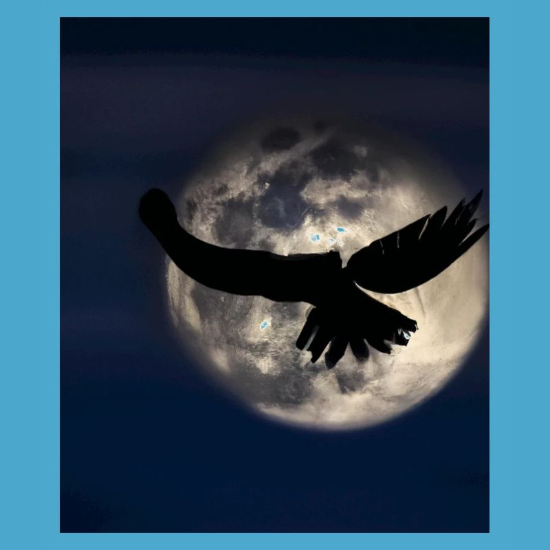 Goth Gothic Lover Schatten Eines Raubvogels