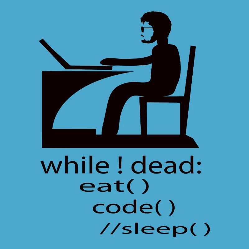 Software Developer Programmer Gift