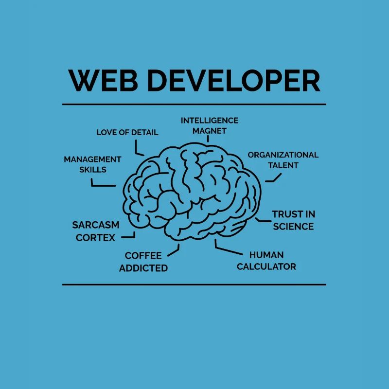 Web Developer Programmer
