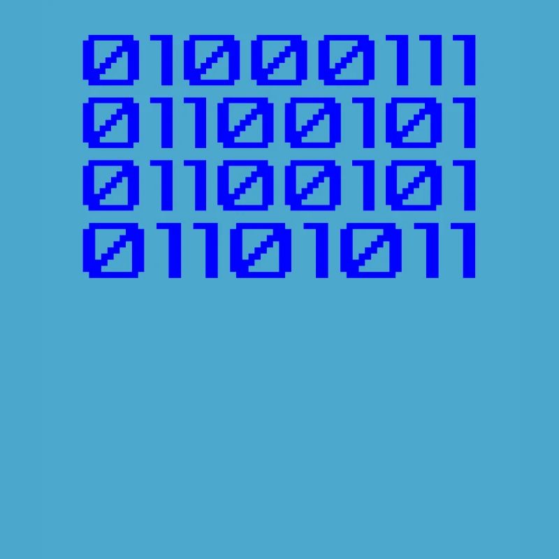 Funny Coder Binary Code Programmer Développeur