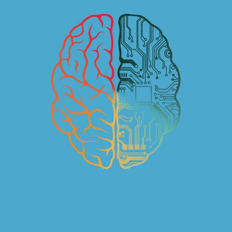 Programmeur Coding - Developer Programming Brain