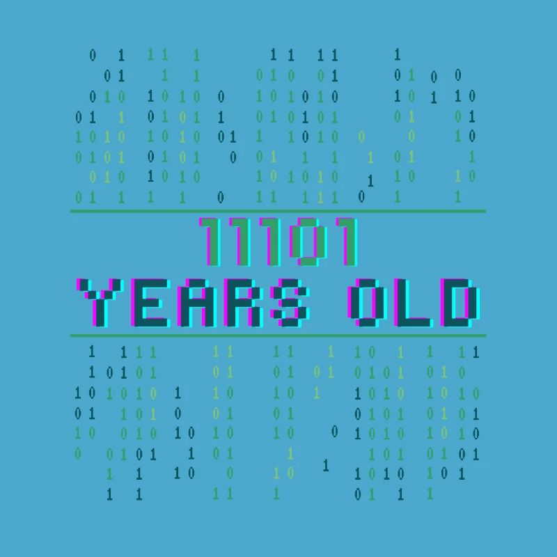 29th Birthday 29 years old Binary Code Coder