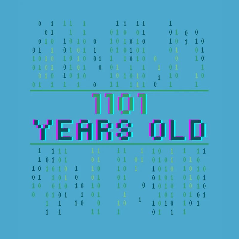 13. Geburtstag 13 Jahre alt Binärcode Coder