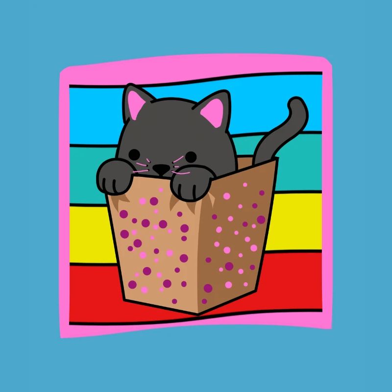 Chat dans une boîte