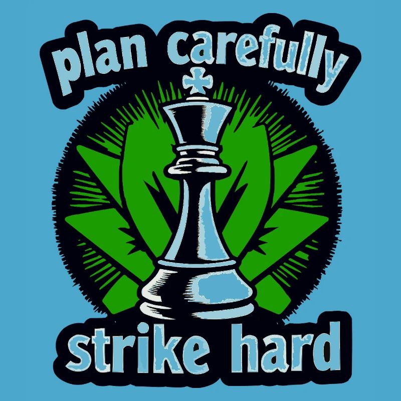 Schach plan carefully strike hard