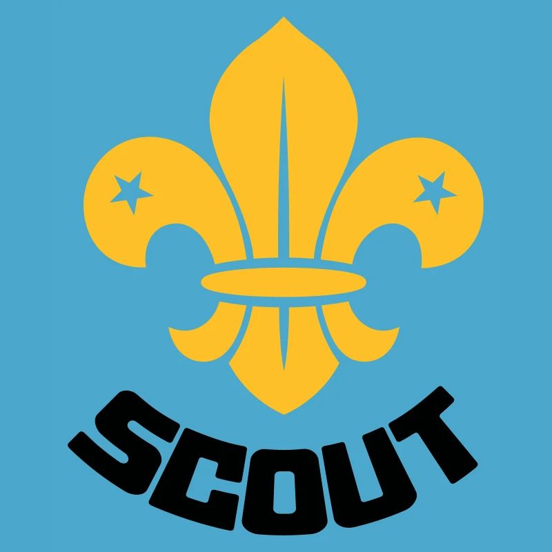 Scout - Scouting