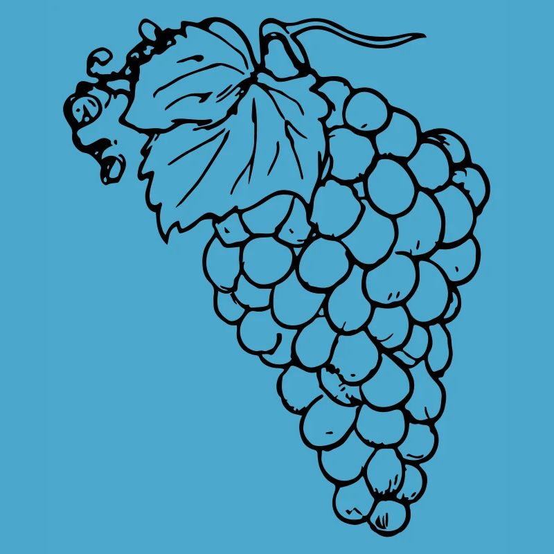 Grape Grapes Illustration Vector Gift Idea