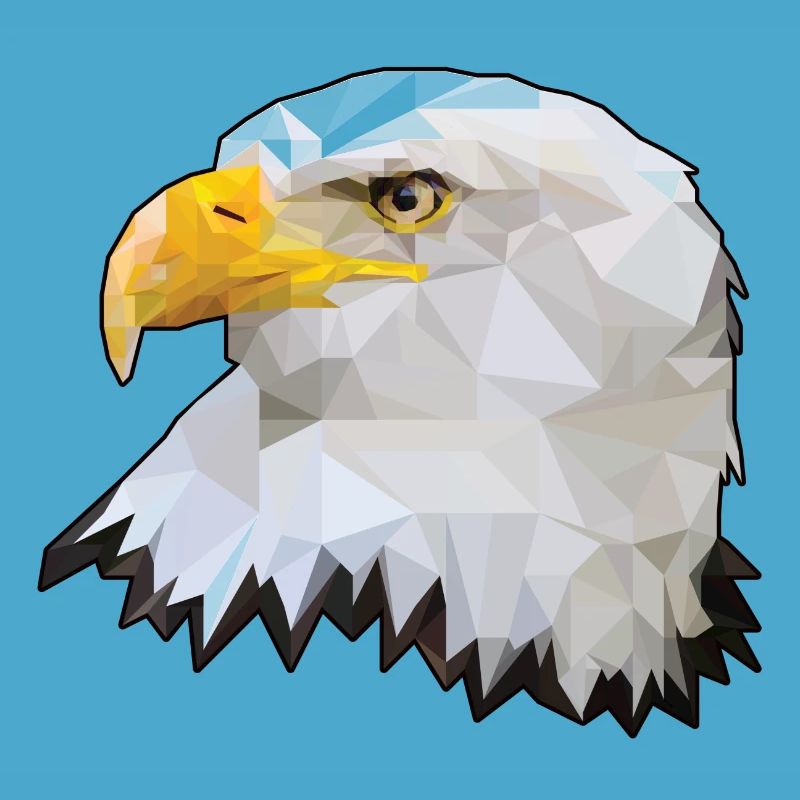 Bald eagle polygon eagle raptor polygon