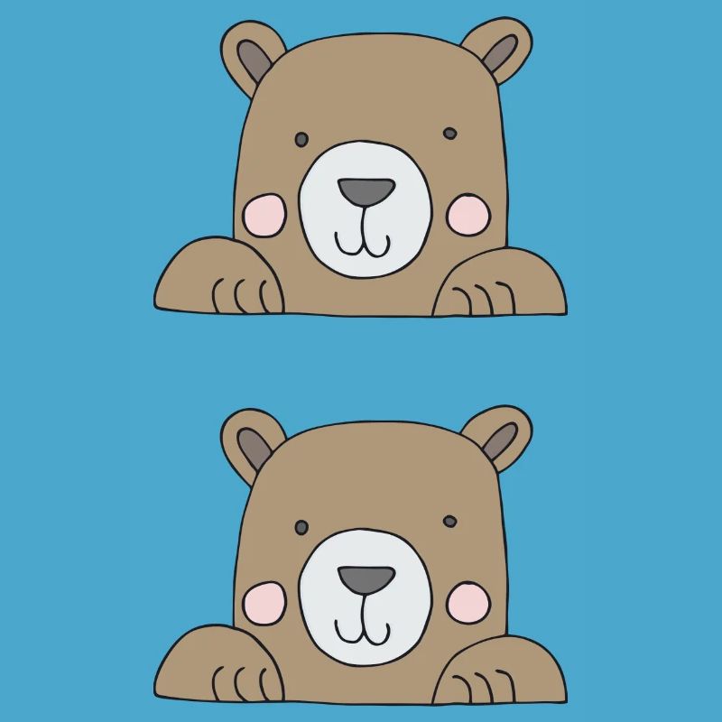 bears in a double pack