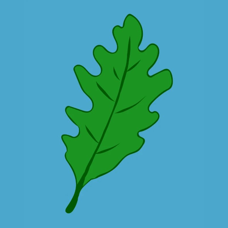 Eiche - Eichenblatt
