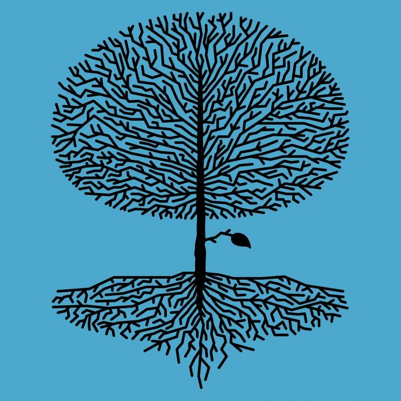 Deciduous Tree Crown Branches Forest Oaks Beech Nature Climate