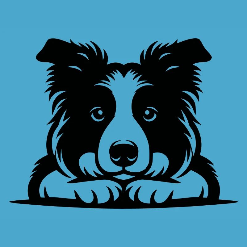 Conception vectorielle de border collie couché