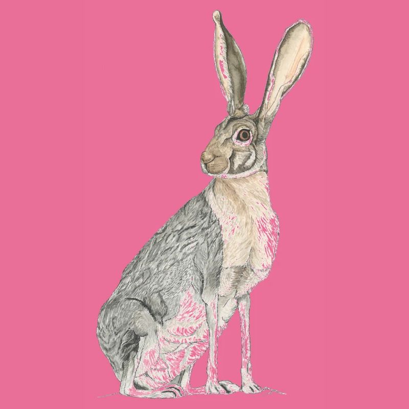 Rabbit with long spoons