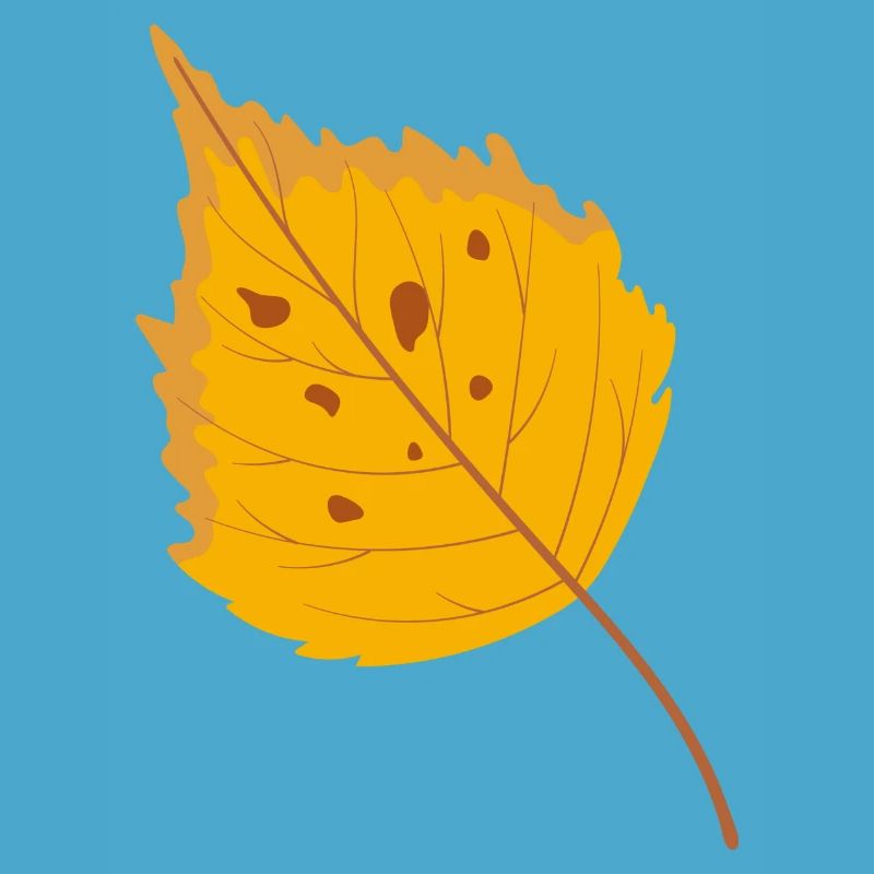 Birch leaf