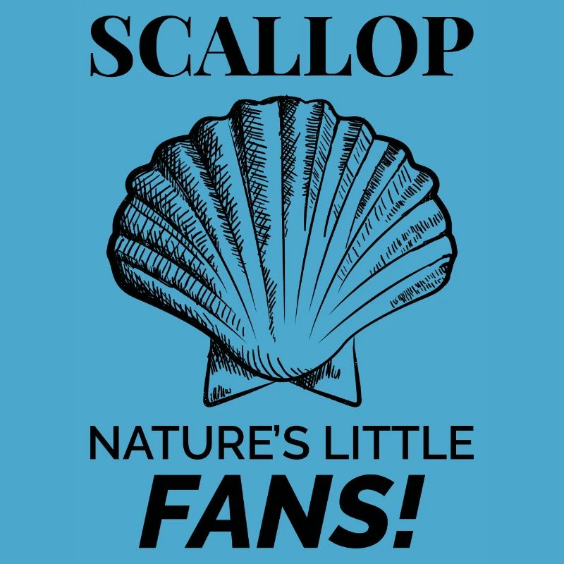 Scallop Seashells Collector Beachcomber Shellfish