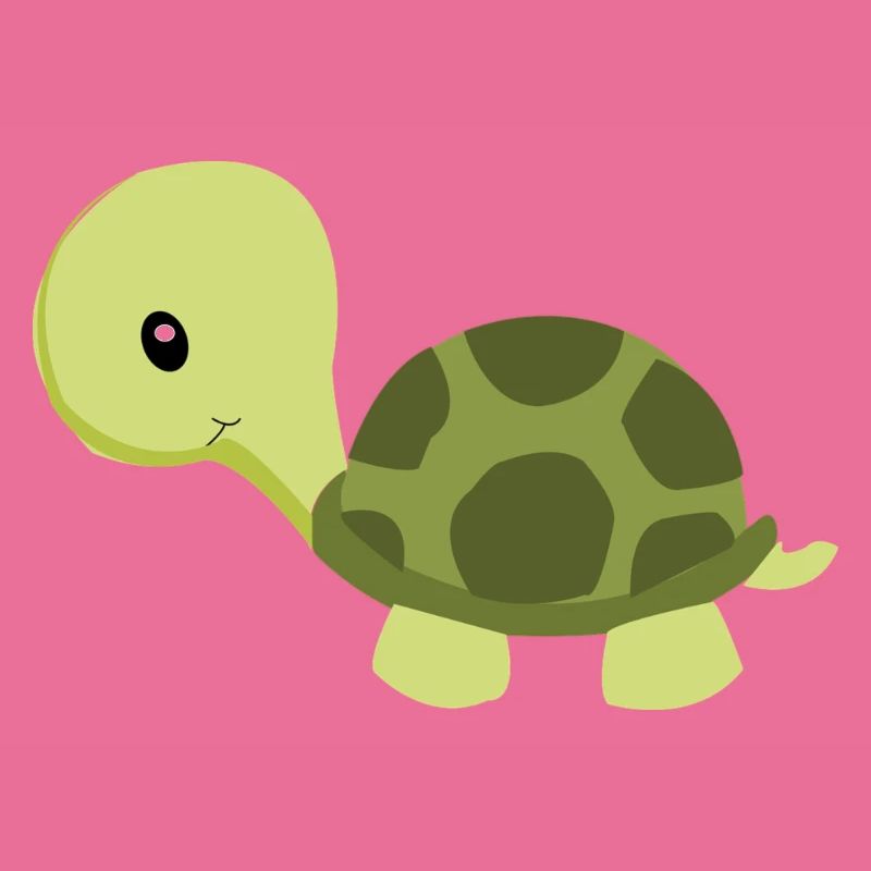 turtle