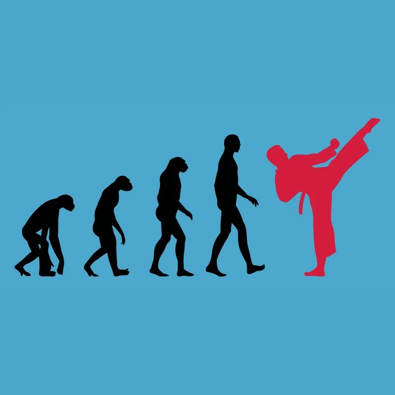 Karate - Evolution