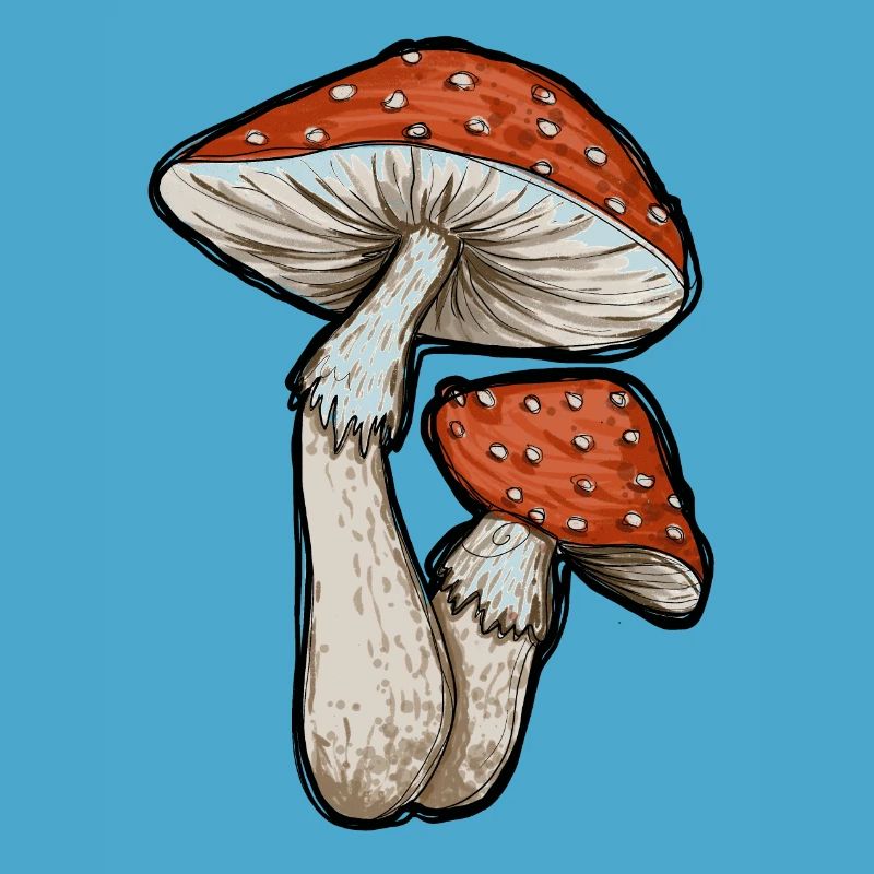 Toadstools Illustration
