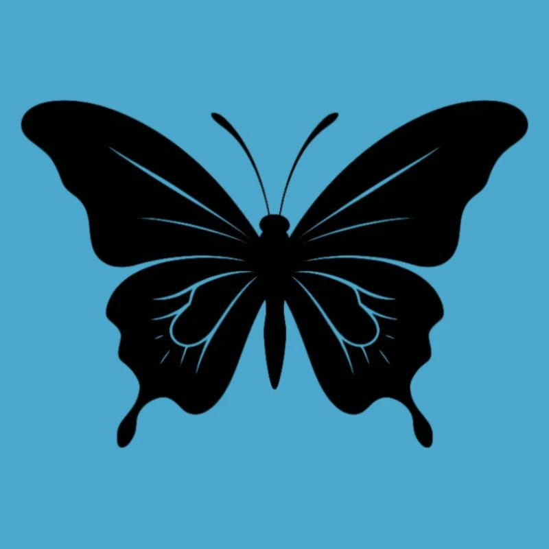 Papillon. papillon