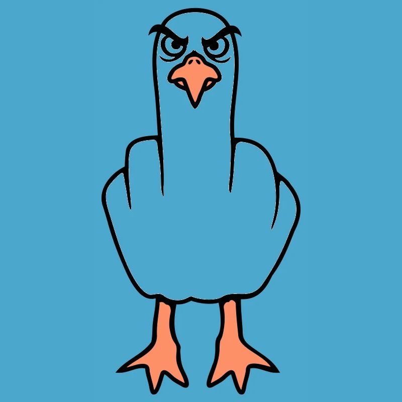 Möwe Mittelfinger Beleidigung Stinkefinger frech