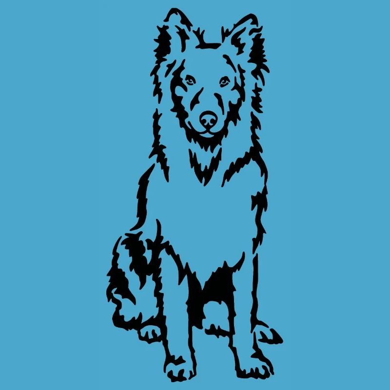 Holländischer Schäferhund