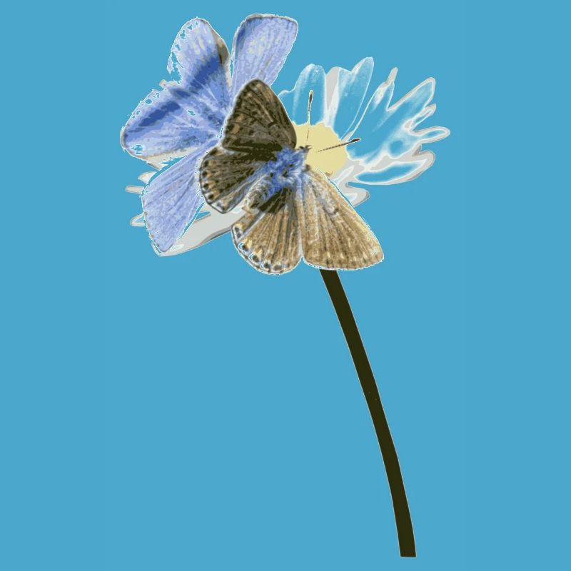 Zwei Bläuling Schmetterlinge auf einer Blüte