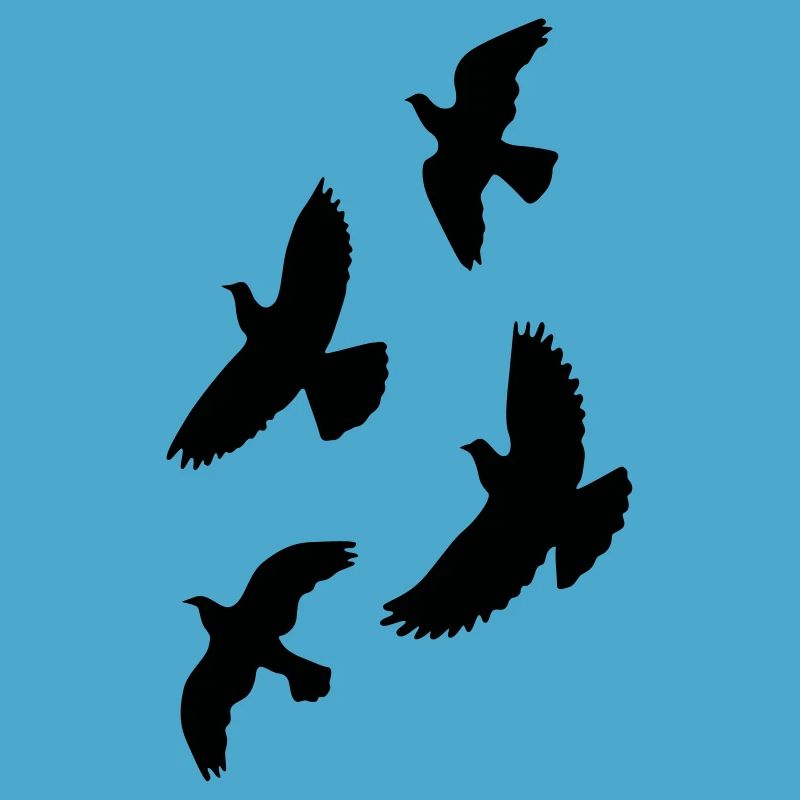 oiseaux