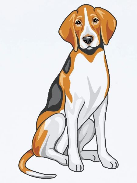 Sitting foxhound