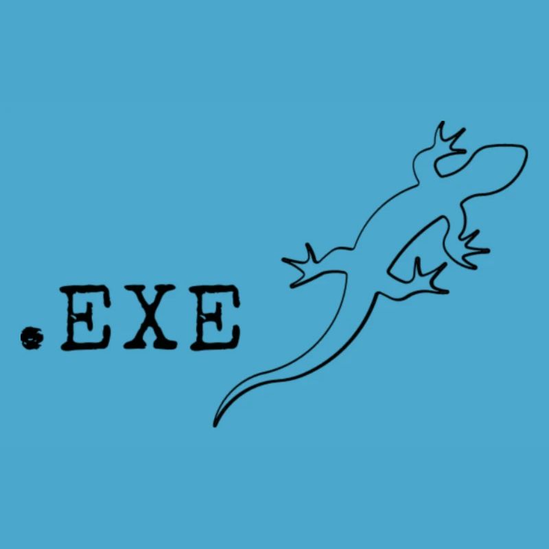 Computer scientist Programmer It Coding