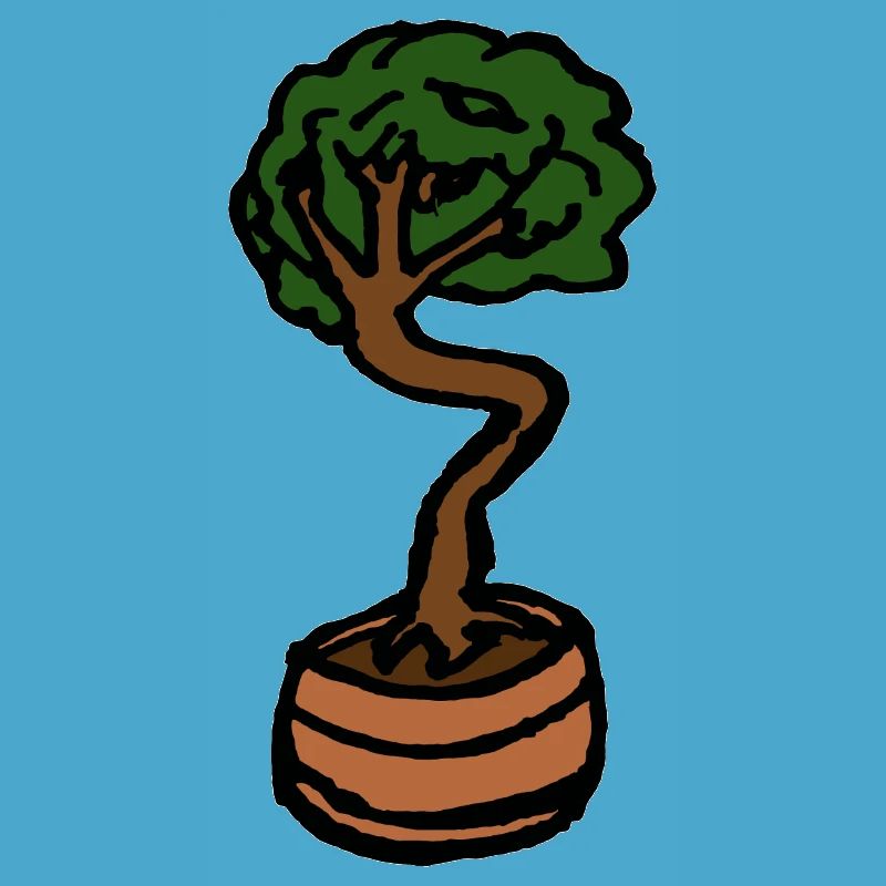 Small Tree Bonsai