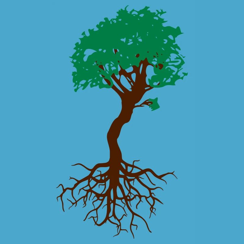 Bonsai tree with roots arborvitae live tree