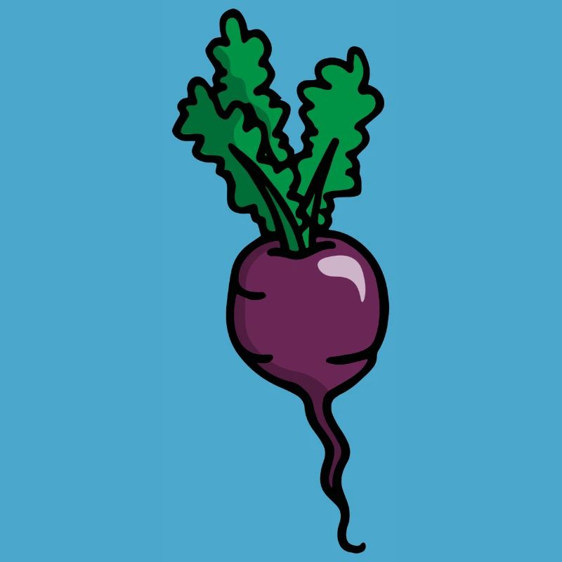 Radieschen Rote Beete Radish beetroot betterave