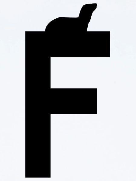 F furet/fouine