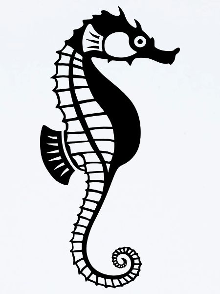 Seepferdchen
