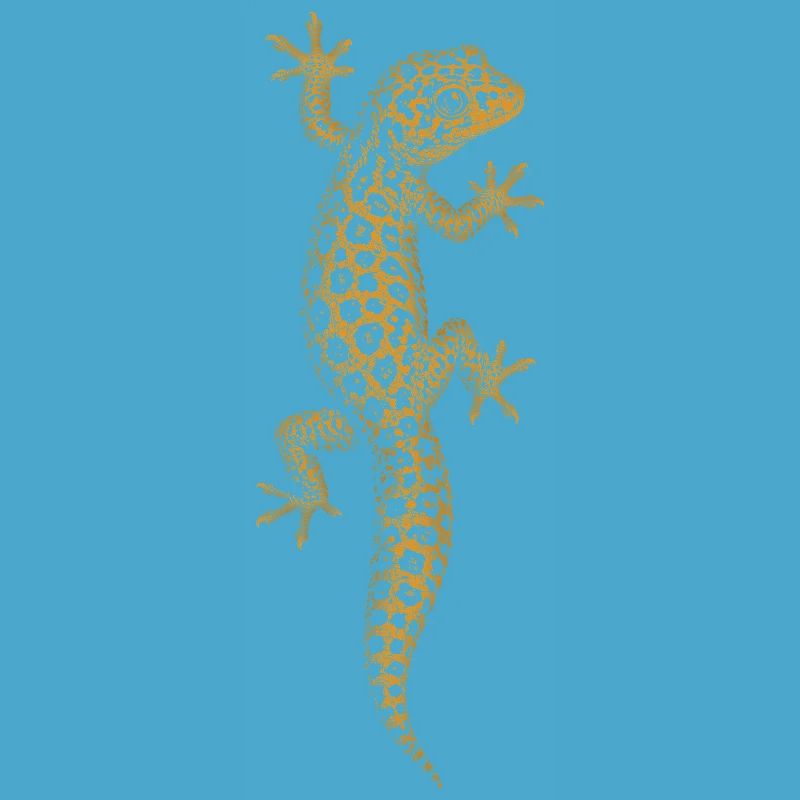 Gecko léopard