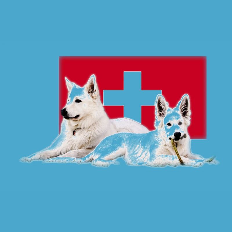 Schweizer Schäferhund